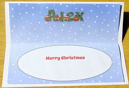 Scottish Christmas Robins ALEX large dl insert by Joyce Watson