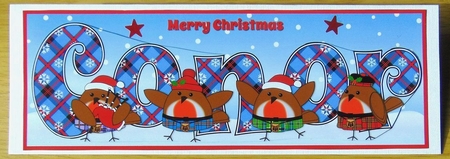 Scottish Christmas Robins CONOR large dl by Joyce Watson