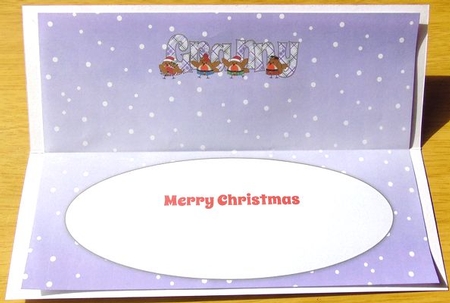Scottish Christmas Robins GRANNY large dl insert by Joyce Watson