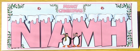 SNOW CAPPED NAMES - NIAMH PINK by Joyce Watson