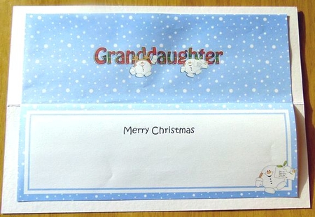 Large DL Merry Christmas GRANDDAUGHTER insert with Snowball Sam by Joyce Watson