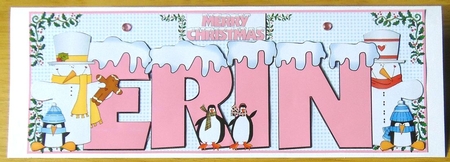 SNOW CAPPED NAMES - ERIN PINK by Joyce Watson