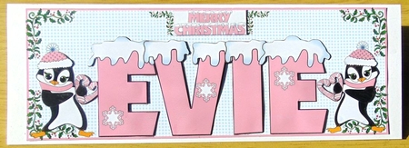 SNOW CAPPED NAMES - EVIE PINK by Joyce Watson