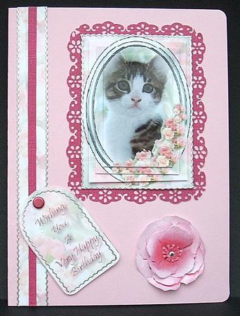 Kitten in Oval Frame by Joyce Watson