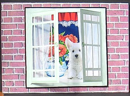 Acetate Open & Shut Windows Card - Poppies & Westie by Joyce Watson