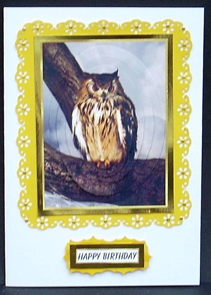 Twit to Woo Oval Pyramage by Joyce Watson