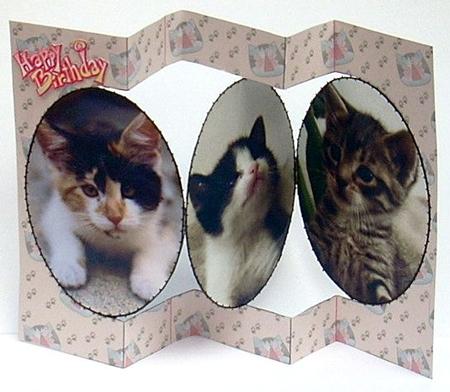 Kitten Tri-circle Card by Joyce Watson