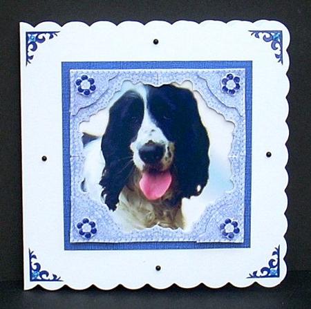 Black & White Spaniel Puppy Dog- 3D Lace Framed Decoupage by Joyce Watson