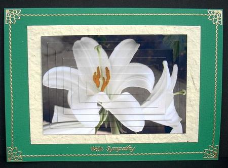 White Lilies Pyramid by Joyce Watson