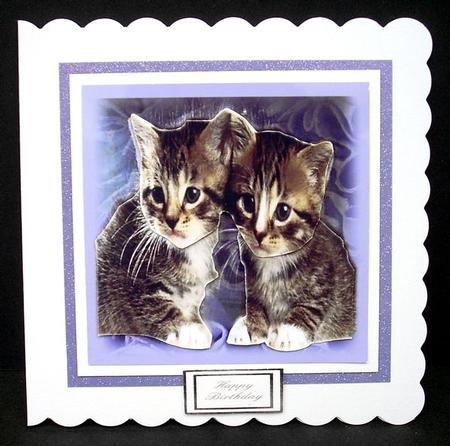 Cute Kittens 2 Step by Step by Joyce Watson