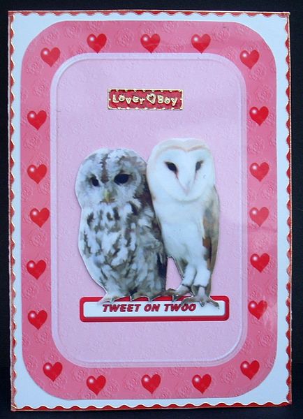 Owls with a Pop Out Heart Card by Joyce Watson
