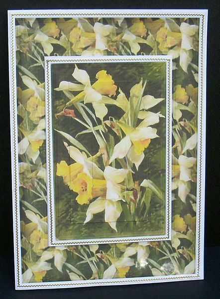 Daffodils Card Front by Joyce Watson