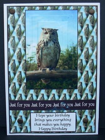 Ollie the Owl by Joyce Watson