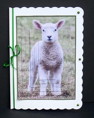 Cute Little Lamb Pyramid by Joyce Watson