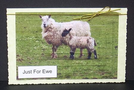 Just for Ewe 2 by Joyce Watson