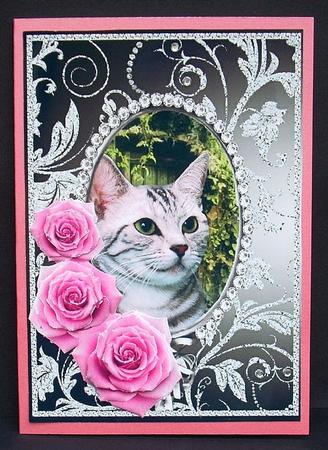 Pink Roses - Tabby Kitty Cat - Silver Gunmetal Card Front by Joyce Watson