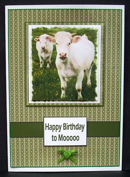 Cows for Mooo by Joyce Watson