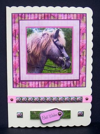 Natural Beauty on Pink Backing by Joyce Watson