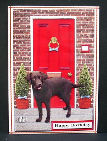 Labrador Retriever,chocolate,with a Red Door by Joyce Watson