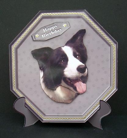 Border Collie Plaque & Stand by Joyce Watson