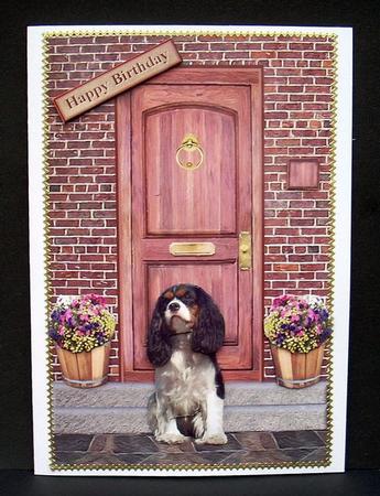 King Charles Spaniel on a Door Step by Joyce Watson