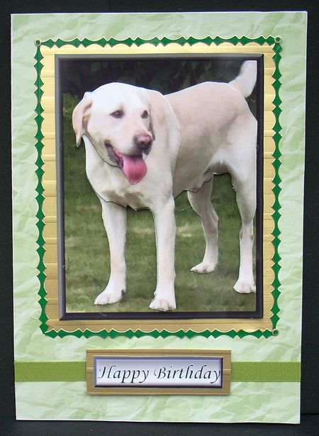 Golden Labrador 3D Decoupage by Joyce Watson