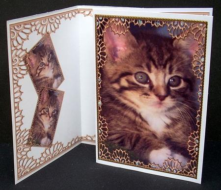 Kitty Cat - Print & Fold by Joyce Watson
