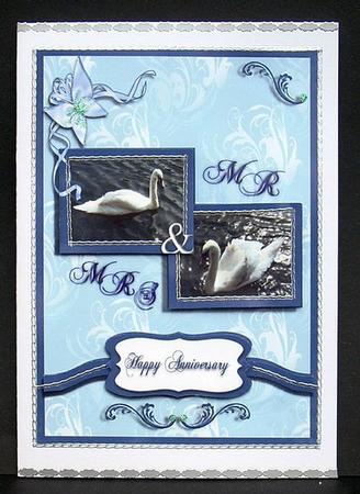 Mr & Mrs Swan Card Front by Joyce Watson