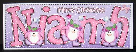 Large Dl Niamh Quick Card with Penguins N 3D Decoupage by Joyce Watson