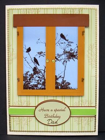 Birdwatching by Joyce Watson