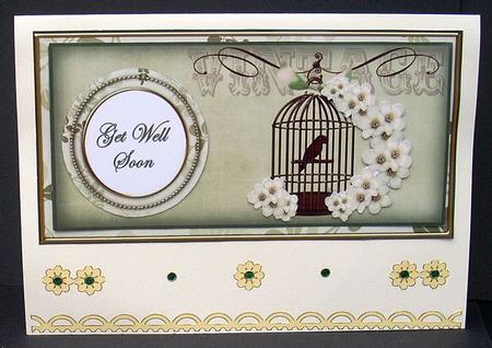Olive Birdcage Get Well Soon Dl Decoupage Topper by Joyce Watson