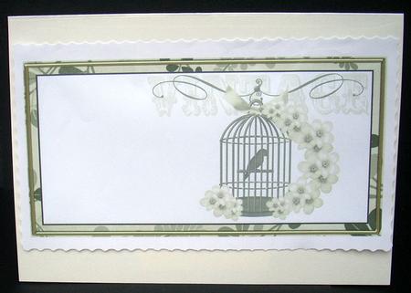 Olive Birdcage Dl Insert Panel by Joyce Watson