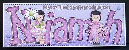 Girlz Birthday Niamh Large Dl Quick Card 3D Decoupage by Joyce Watson