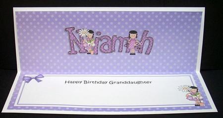 Girlz Birthday Niamh Large Dl Matching Large Dl Insert by Joyce Watson