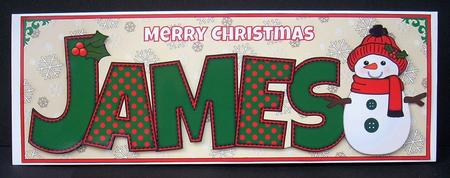 Cute Snowman James Large Dl by Joyce Watson