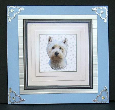 West Highland White Terrier 1 Portrait Pyramid by Joyce Watson