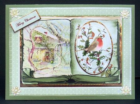 Robin Redbreast in the Garden Card by Joyce Watson