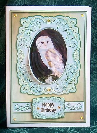 Barn Owl by Joyce Watson