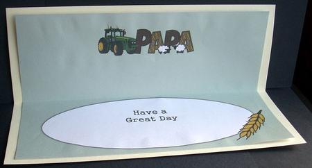 Country Life Papa Large Dl Insert by Joyce Watson