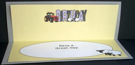 Country Life Birthday Large Dl Insert by Joyce Watson