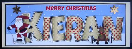 Santa & Rudolf Kieran Large Dl by Joyce Watson