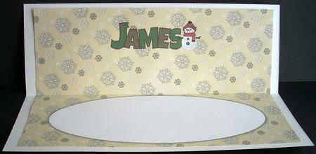 Cute Snowman James Large Dl Insert by Joyce Watson