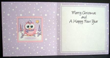 Xmas Little Hoot Owl Matching Insert Square Landscape by Joyce Watson