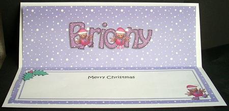Merry Christmas Briony Robins Matching Large Dl Insert by Joyce Watson