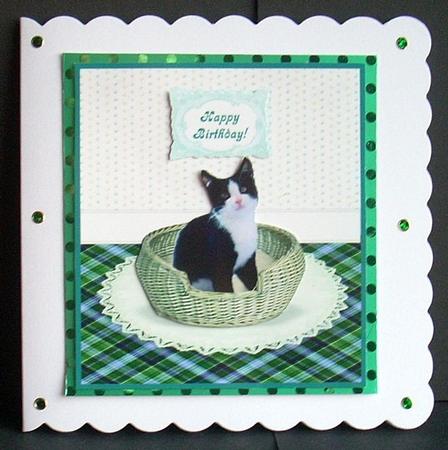 Black & White Kitty Cat in a Basket Card Topper + Greeting by Joyce Watson