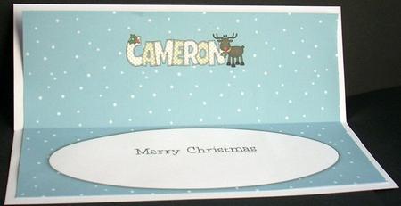 Rudolf the Red Nose Reindeer Cameron Large Dl Insert by Joyce Watson