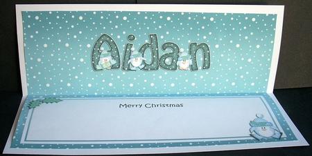 Xmas Aidan Penguins Matching Large Dl Insert by Joyce Watson