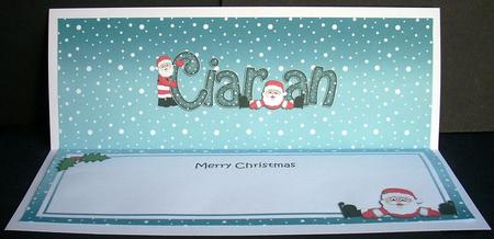 Merry Christmas Ciaran Santa Matching Large Dl Insert by Joyce Watson