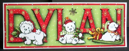 Polar Fun Dylan Large Dl Name Card with Decoupage by Joyce Watson