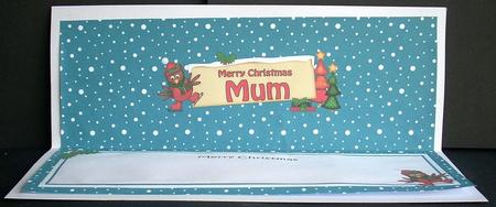 Xmas Mum Robin Signpost Large Dl Matching Insert by Joyce Watson